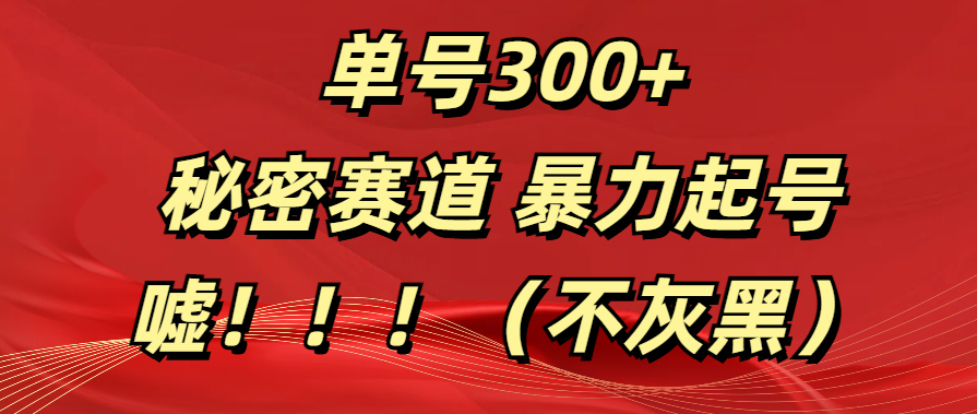 单号300+  秘密赛道 暴力起号  （不灰黑）-想要创业网