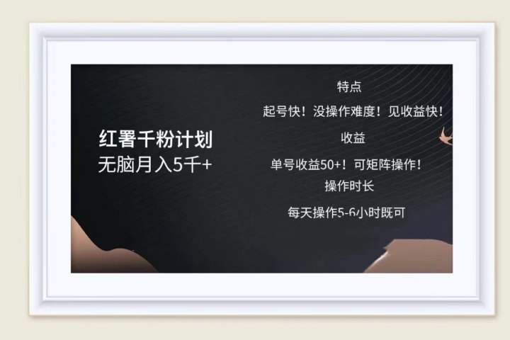 红薯千粉计划无脑月入5千➕！既做既赚！-想要创业网