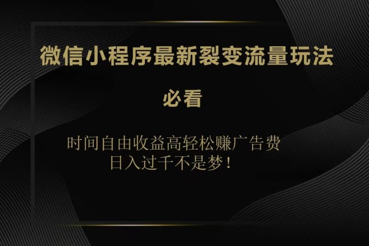 微信小程序最新裂变流量玩法，时间自由收益高轻松赚广告费，日入200-500+-想要创业网