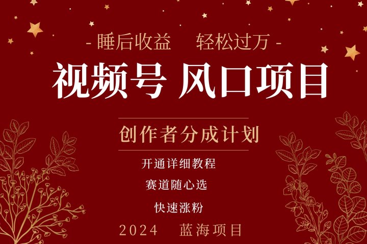 拥有睡眠收益的微信视频号大风口项目，轻松月入过万+，多赛道选择，可矩阵，玩法简单轻松上手-想要创业网