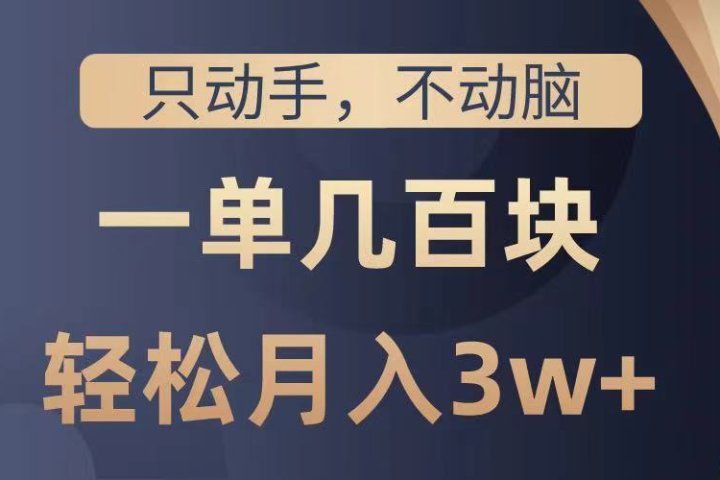 只动手不动脑，一单几百块，轻松月入3w+，看完就能直接操作，详细教程-想要创业网