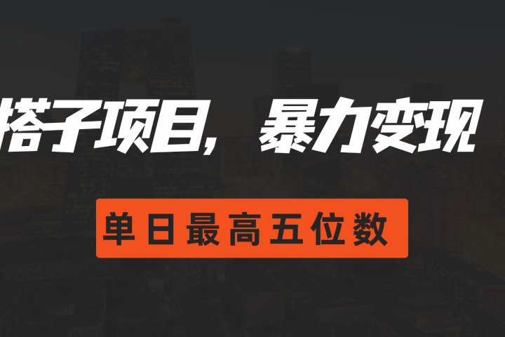 搭子项目，暴力变现，单日最高破五位数-想要创业网