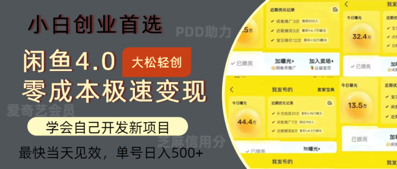 闲鱼0成本极速变现项目，多种变现方式，单号日入500+最新玩法-想要创业网