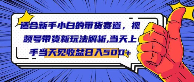 适合新手小白的带货赛道,视频号带货新玩法解析,当天上手当天见收益,日入500+-想要创业网