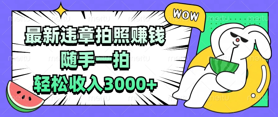 最新违章拍照赚钱，随手一拍，轻松收入3000+-想要创业网