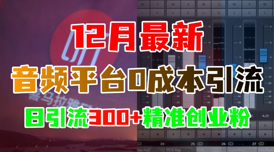 12月最新：音频平台0成本引流，日引300+精准创业粉-想要创业网
