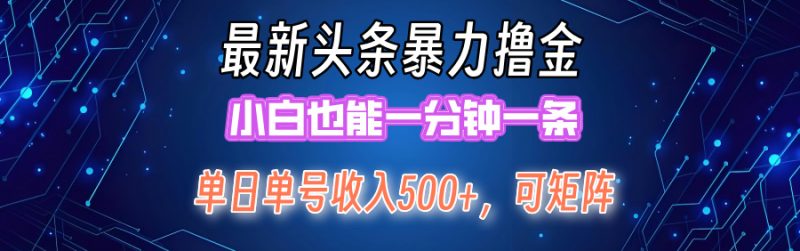 最新头条撸金，小白也能一分钟一条-想要创业网