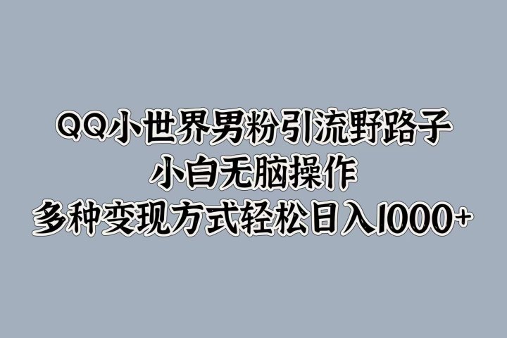 QQ小世界男粉引流野路子，小白无脑操作，多种变现方式轻松日入1000+-想要创业网