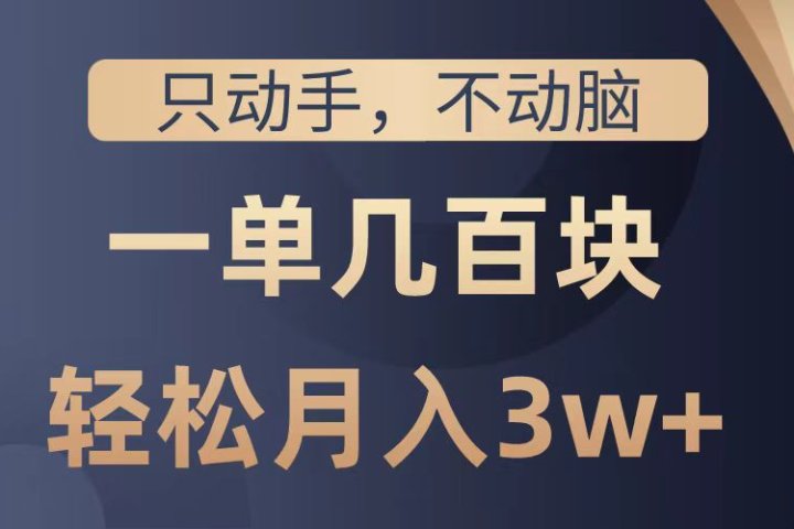 只动手不动脑，一单几百块，轻松月入2w+，看完就能直接操作，详细教程-想要创业网