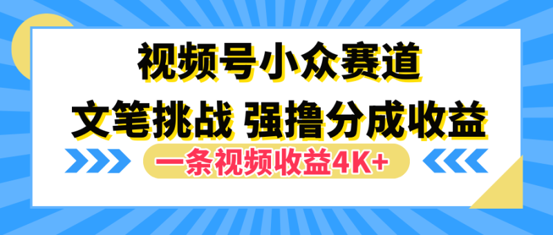 视频号小众赛道，文笔挑战，一条视频收益4K+-想要创业网
