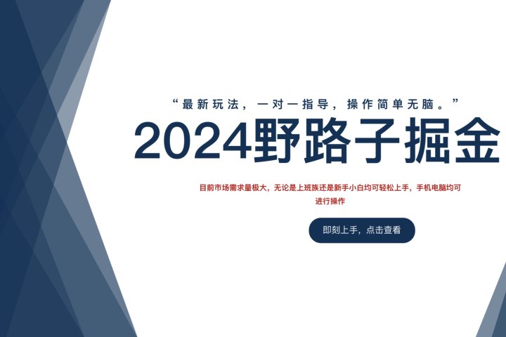 2024野路子掘金，最新玩 法， 一对一指导，操作简单无脑。-想要创业网