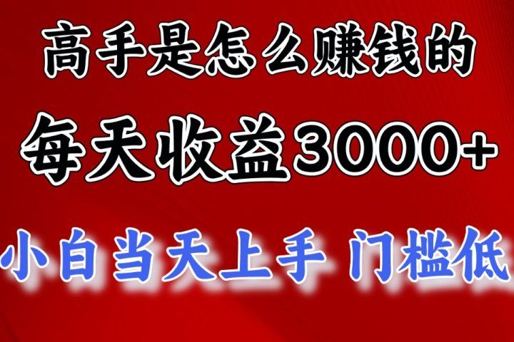 高手是怎么赚钱的，一天收益3000+ 这是穷人逆风翻盘的一个项目，非常稳-想要创业网