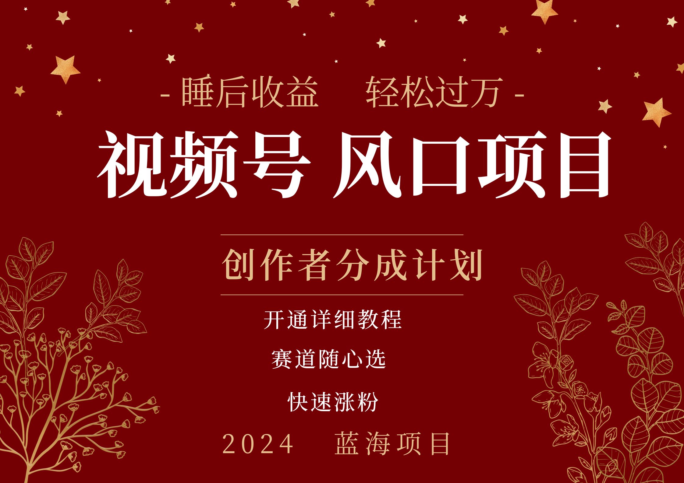 图片[1]-拥有睡眠收益的微信视频号大风口项目，轻松月入过万+，多赛道选择，可矩阵，玩法简单轻松上手-想要创业网