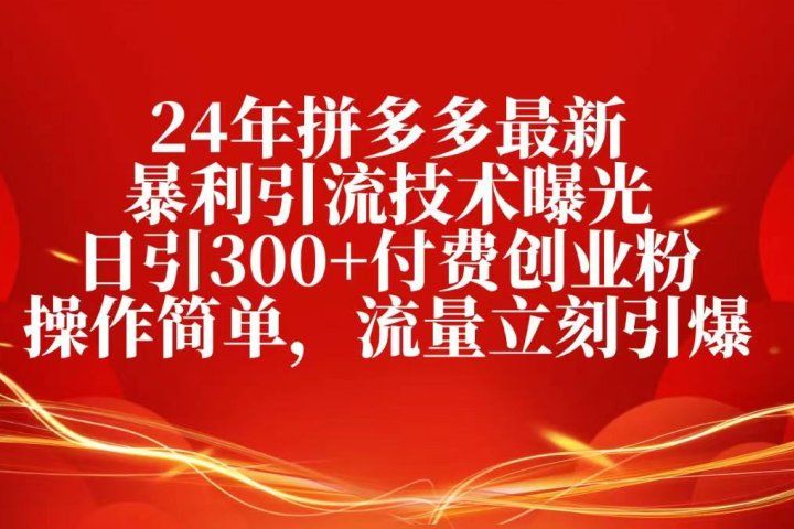 24年拼多多最新暴利引流技术曝光，日引300+付费创业粉，操作简单-想要创业网