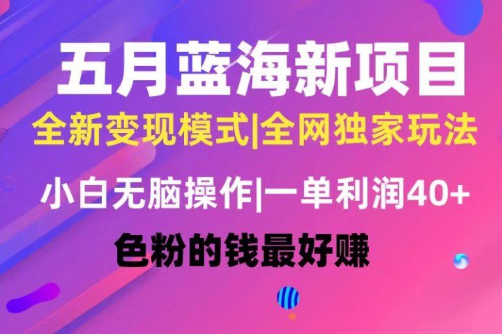 五月蓝海项目全新玩法，小白无脑操作，一天几分钟，矩阵操作，月入4万+-想要创业网