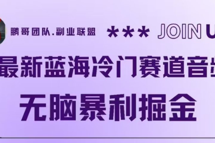 最新蓝海冷门赛道音频，无脑暴利掘金-想要创业网