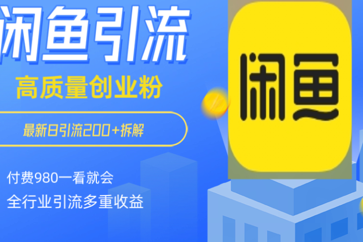 闲鱼 如何做到日引流 200+ 高 质 量 创业 粉付 费 980 拆解全 赛 道粉 丝 一看就会-想要创业网