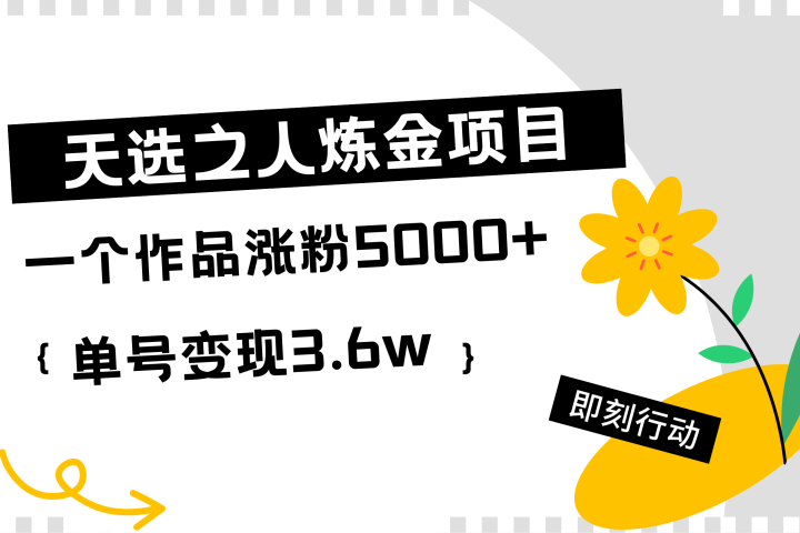 天选之人炼金项目，一个作品涨粉5000+，单号变现3.6w-想要创业网