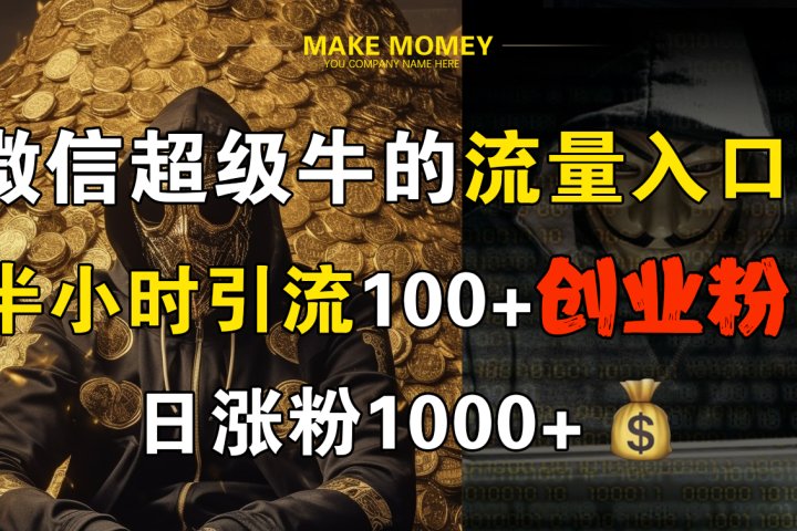 微信超级牛的流量入口，半小时引流100+创业粉，日涨粉1000+-想要创业网