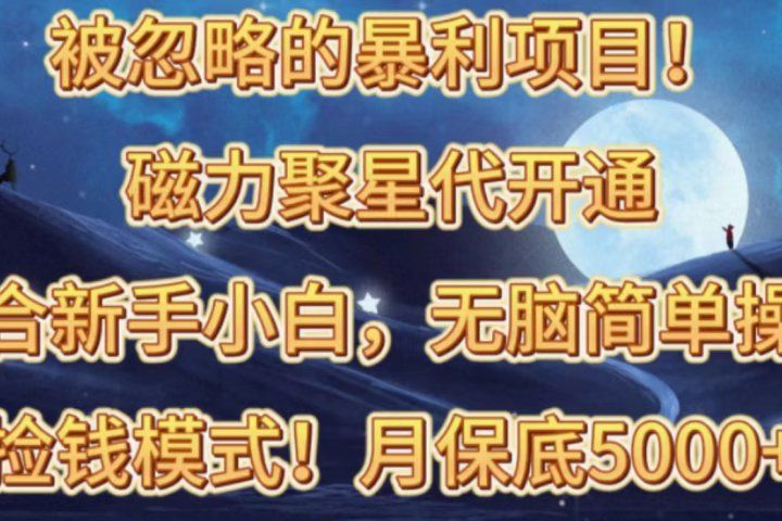 被忽略的暴利项目！磁力聚星代开通捡钱模式，轻松月入五六千-想要创业网