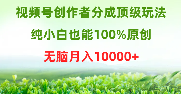 视频号创作者分成顶级玩法，纯小白也能100%原创，无脑月入10000+-想要创业网