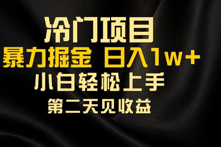 冷门项目，靠一款软件日入10000+暴力掘金小白轻松上手，第二天见收益-想要创业网