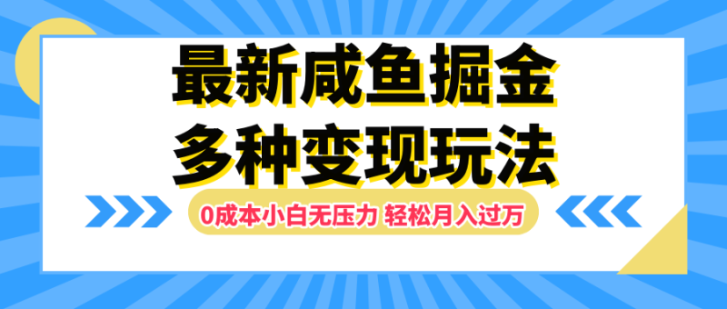 最新咸鱼掘金玩法，更新玩法，0成本小白无压力，多种变现轻松月入过万-想要创业网