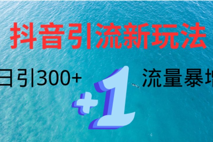 创业粉高效引流，抖音工具号玩法4.0，日引300+-想要创业网