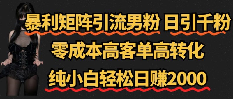 暴利矩阵引流男粉(日引千粉),零成本高客单高转化,纯小白轻松日赚2000+-想要创业网