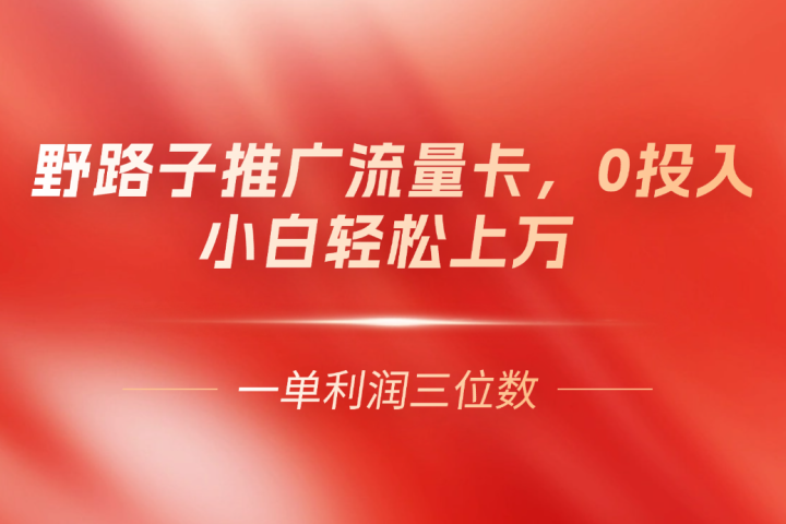 野路子推广流量卡，一单利润上百，0投入，小白月利润上万-想要创业网