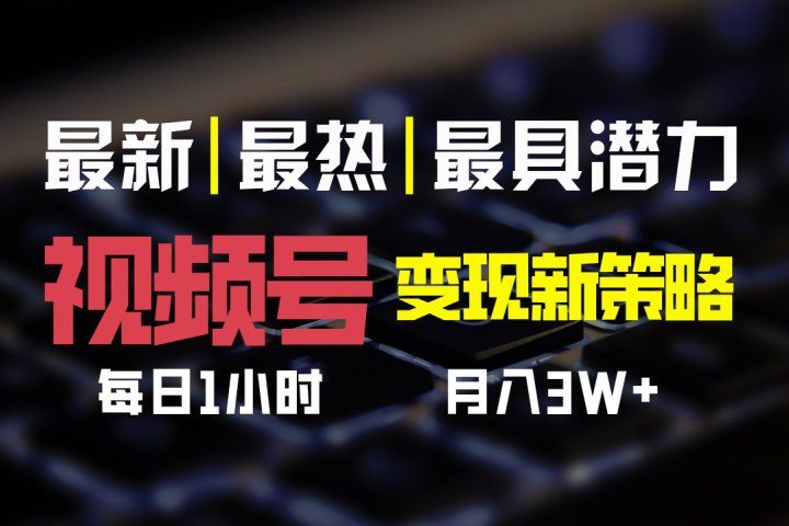 视频号变现新策略，每日一小时月入30000+-想要创业网