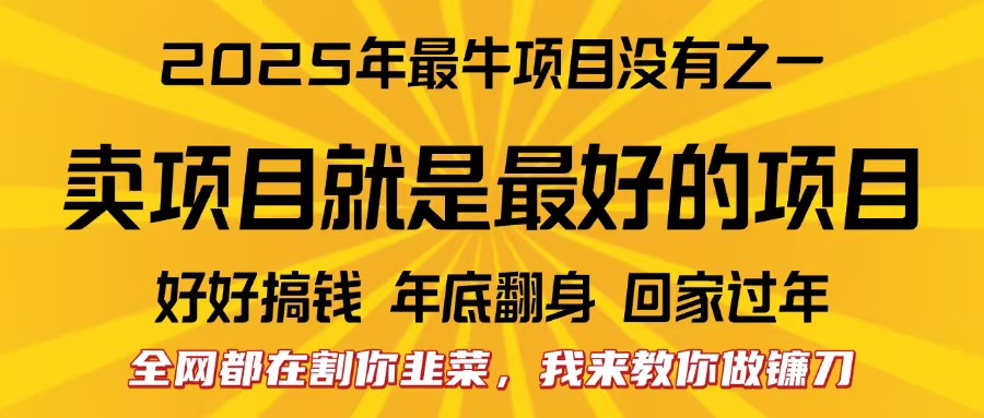 全网都在割你韭菜，我来教你做镰刀。卖项目就是最好的项目，2025年最牛互联网项目-想要创业网