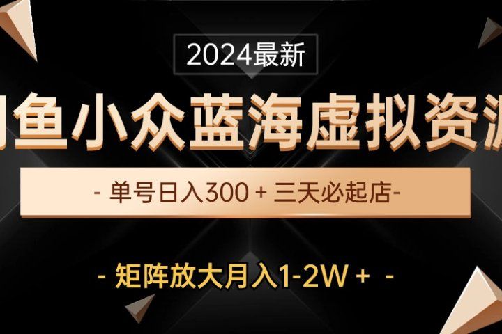 最新闲鱼小众蓝海虚拟资源，单号日入300＋，三天必起店，矩阵放大月入1-2W-想要创业网