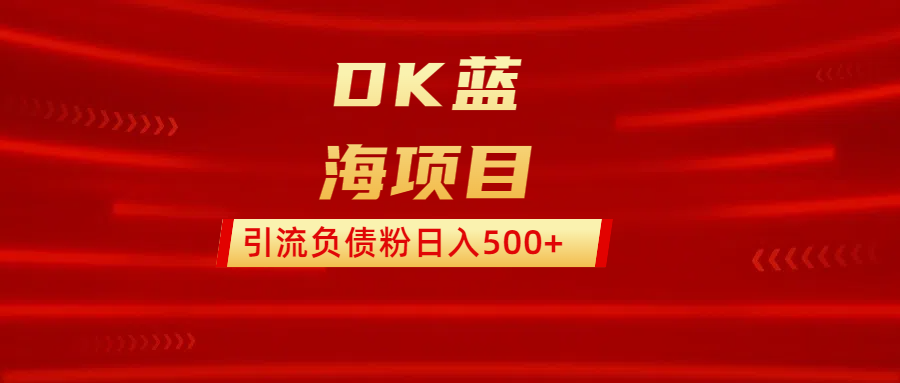 DK蓝海项目  通过，抖音，快手，小红书，引流负债粉日入500+-想要创业网