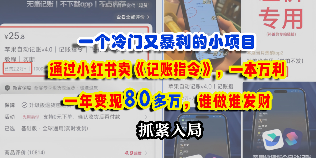 一个冷门又暴利的小项目，通过小红书卖《记账指令》，一本万利，一年变现80多万，谁做谁发财-想要创业网