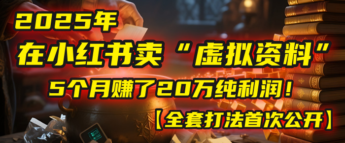 2025年在小红书卖“虚拟资料”，5个月赚了20万纯利润！【全套打法首次公开】-想要创业网