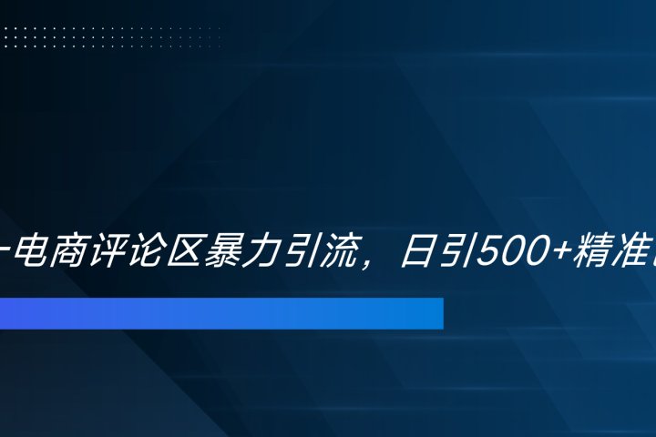 双十一电商评论区暴力引流，日引500+精准创业粉！！！-想要创业网