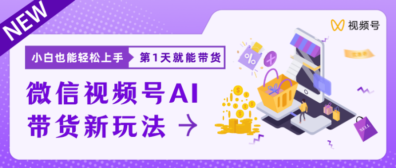 蓝海项目视频号AI带货最新教程，小白也能日入1000+-想要创业网