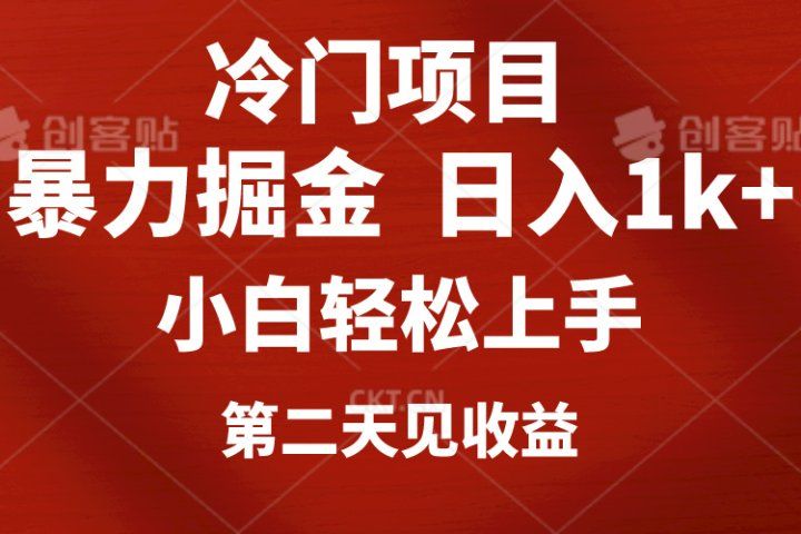 冷门项目，靠一款软件日入1000+暴力掘金小白轻松上手，第二天见收益-想要创业网