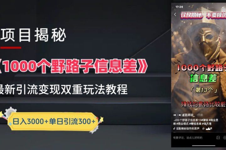 抖音最新一千个野路子玩法教程，变现+引流双重玩法，野路子信息差-想要创业网
