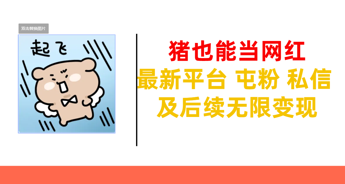 猪也能当网红-最新平台 屯粉 交流 私信 及后续无限变现-想要创业网