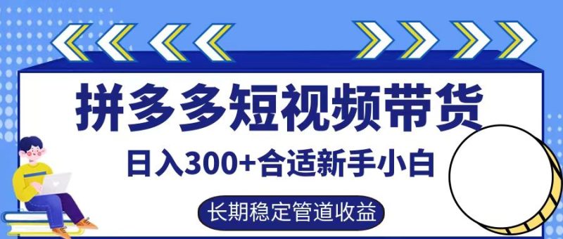 拼多多短视频带货日入300+实操落地流程-想要创业网