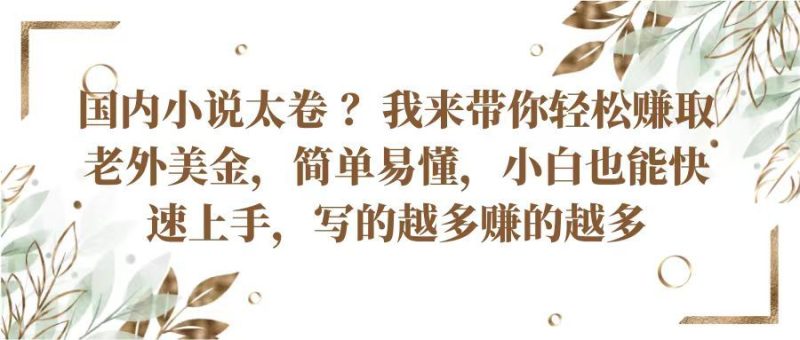 国内小说太卷 ？我来带你轻松赚取老外美金简单易懂，小白也能快速上手写的越多赚的多-想要创业网