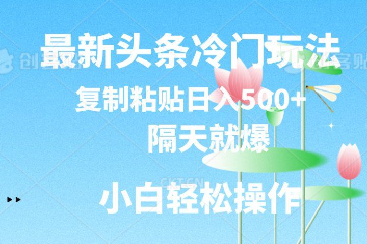 最新头条冷门玩法，隔天就爆，复制粘贴日入500+-想要创业网