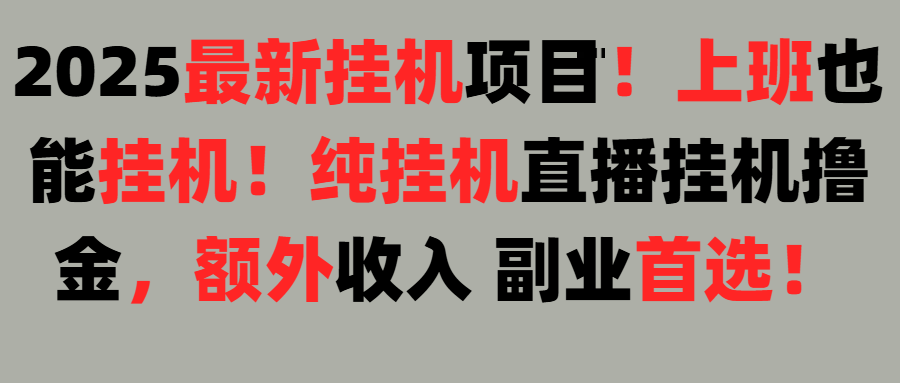 2025上班也能挂机！24小时！纯挂机直播挂机撸金！-想要创业网