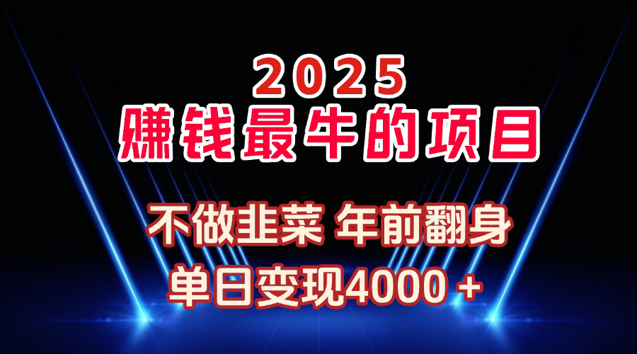 2025年赚钱最牛的项目 不做韭菜 年前翻身-想要创业网