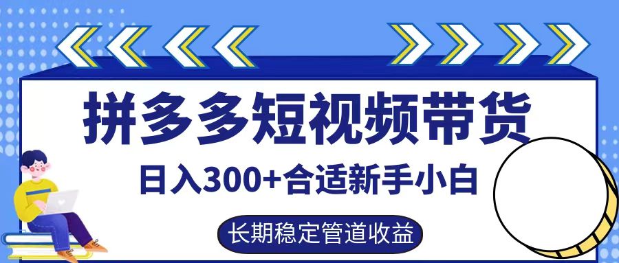 图片[1]-拼多多短视频带货日入300+实操落地流程-想要创业网