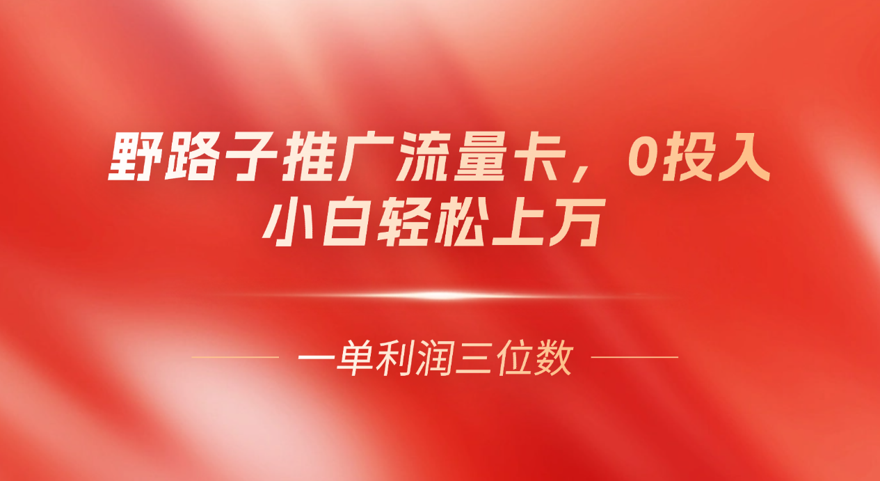 图片[1]-野路子推广流量卡，一单利润上百，0投入，小白月利润上万-想要创业网