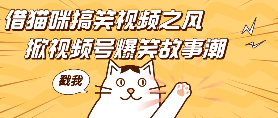 借猫咪搞笑视频之风，掀视频号爆笑故事潮，轻松日赚四位数，开启无门槛赚钱新体验！-想要创业网
