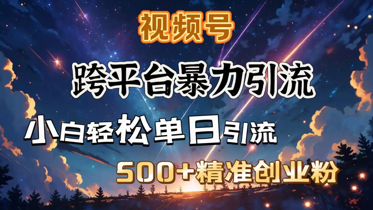 视频号跨平台暴力引流，小白轻松单日引流500＋精准创业粉-想要创业网
